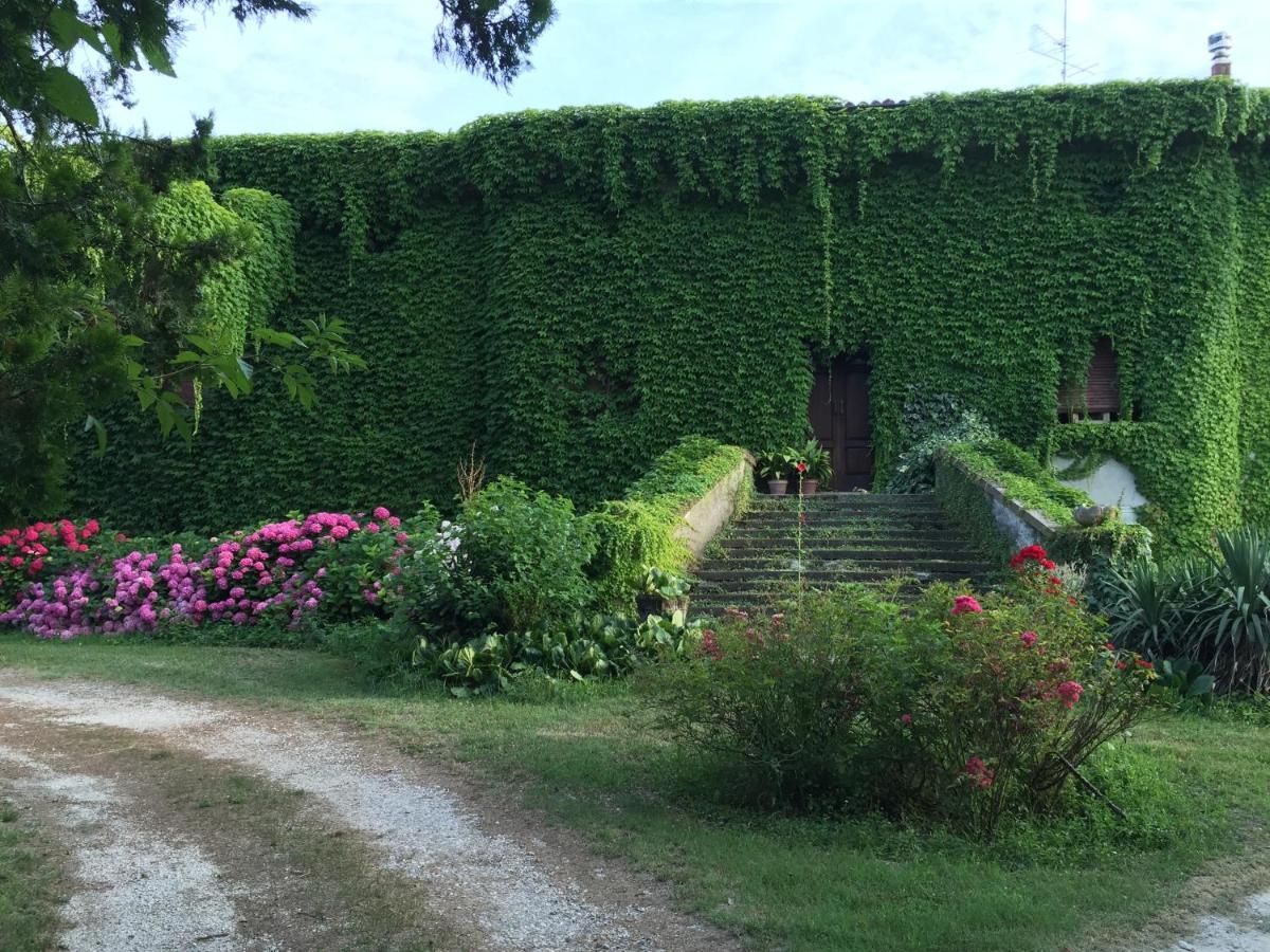 B&B Corte Vo Grande Pegognaga Extérieur photo