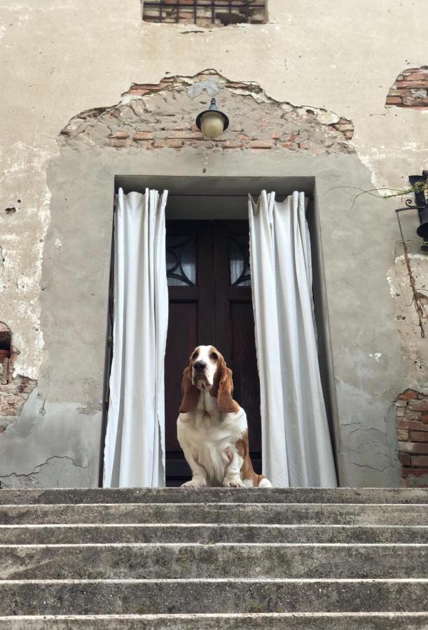 B&B Corte Vo Grande Pegognaga Extérieur photo