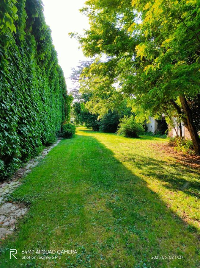 B&B Corte Vo Grande Pegognaga Extérieur photo
